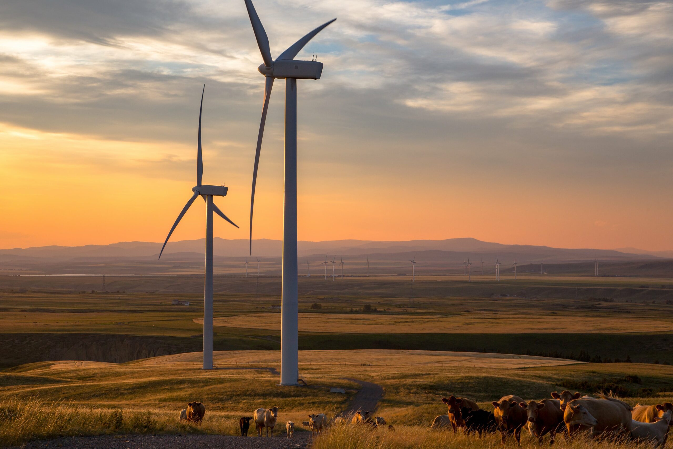 Alberta provides some of the lowest cost renewable power in North America